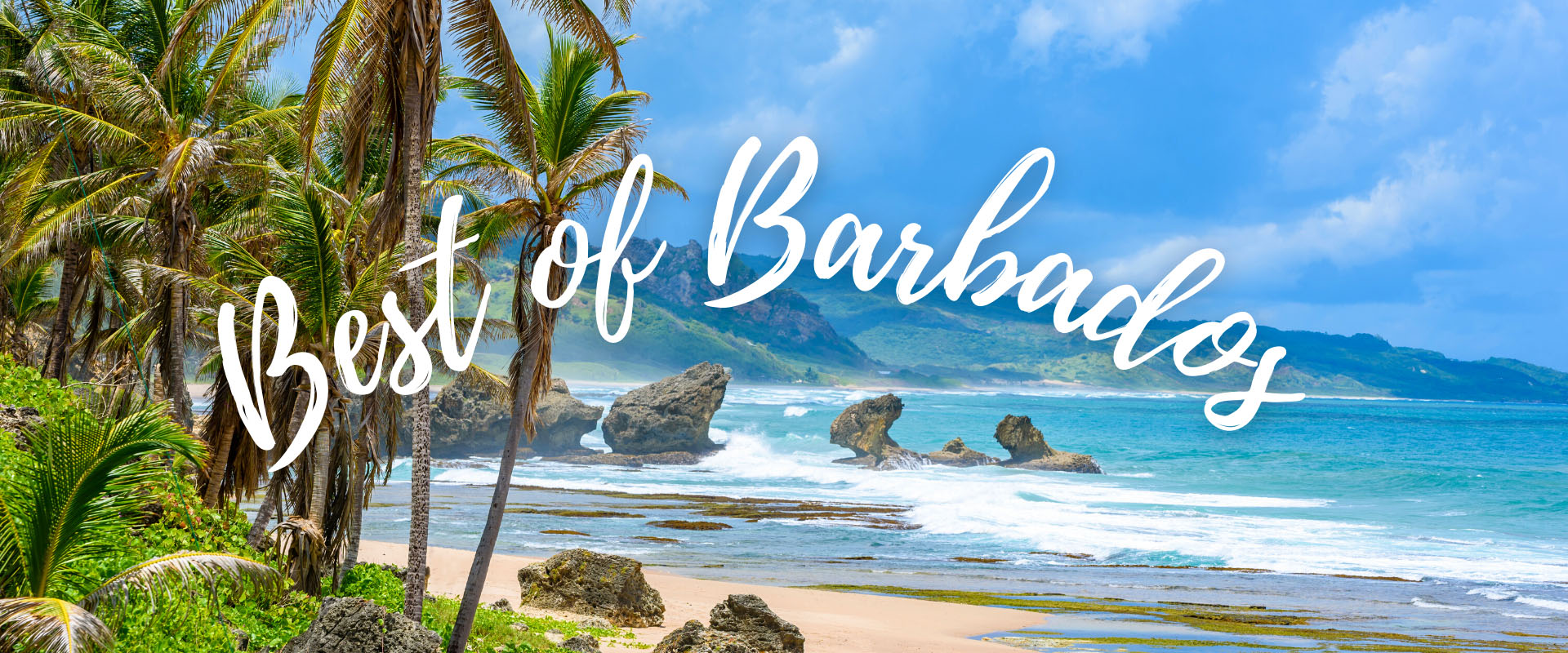 Best of Barbados Guide