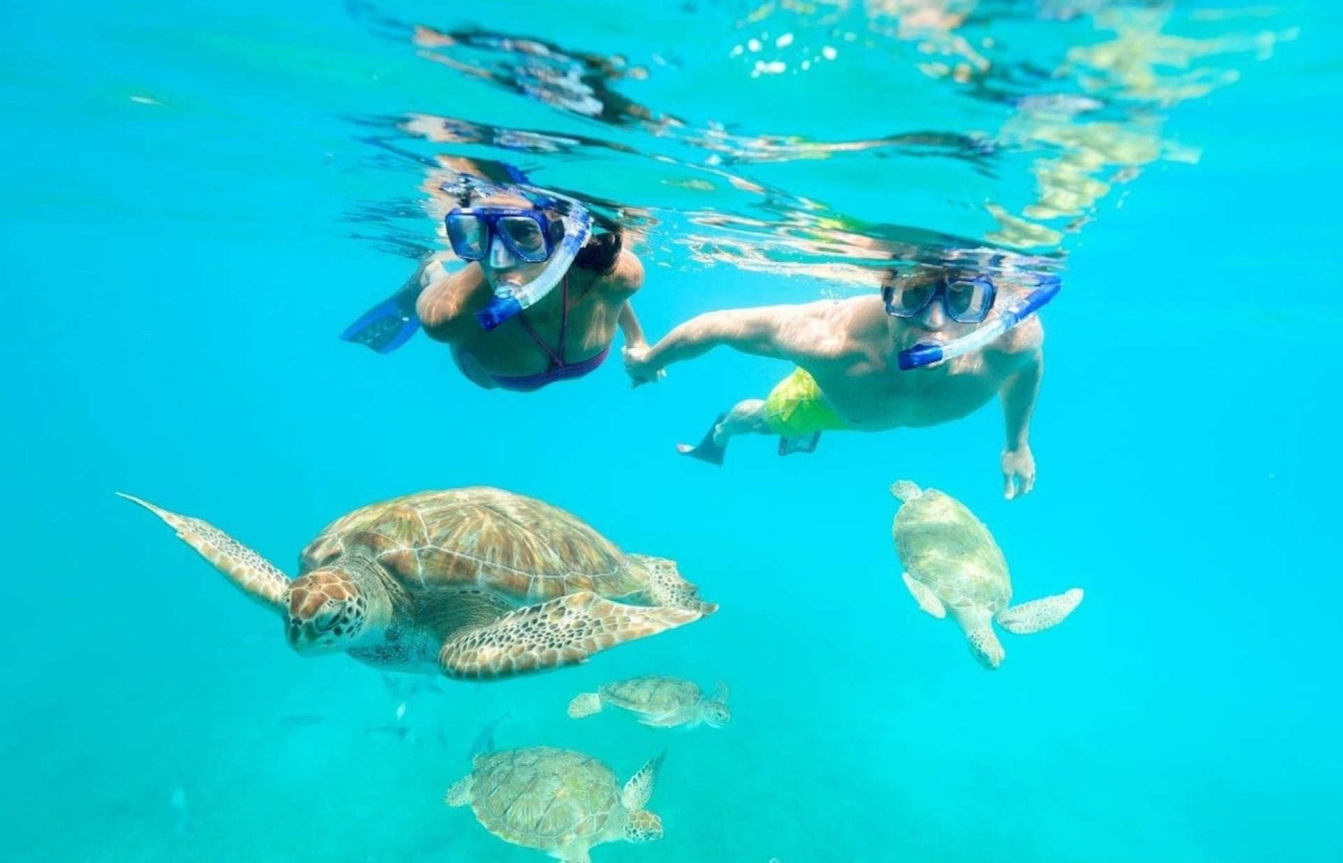 Barbados Shared Catamaran Tour - Lunch and Snorkel