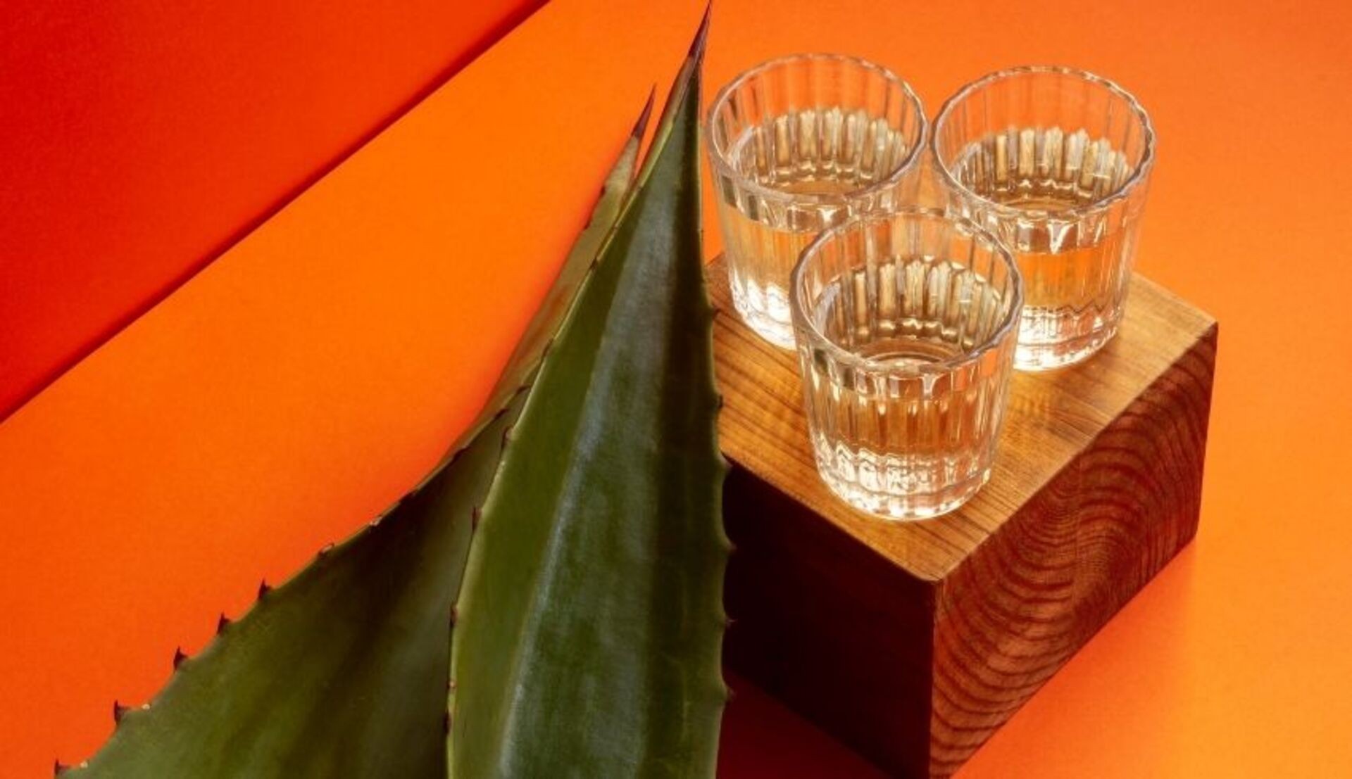 Puerto Vallarta Tequila Tasting Tour