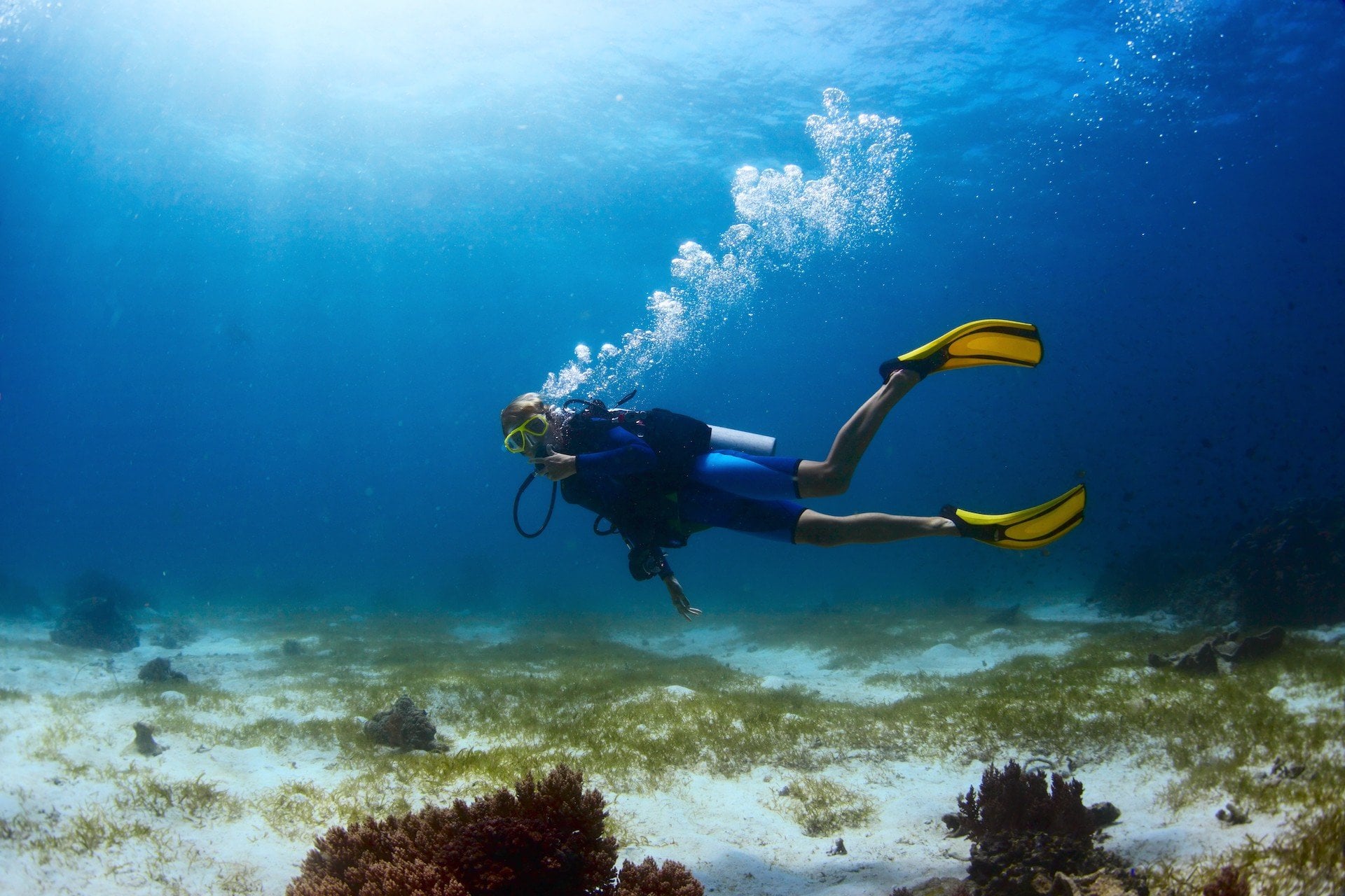 Diving Tour - Scuba Double Tank Dive