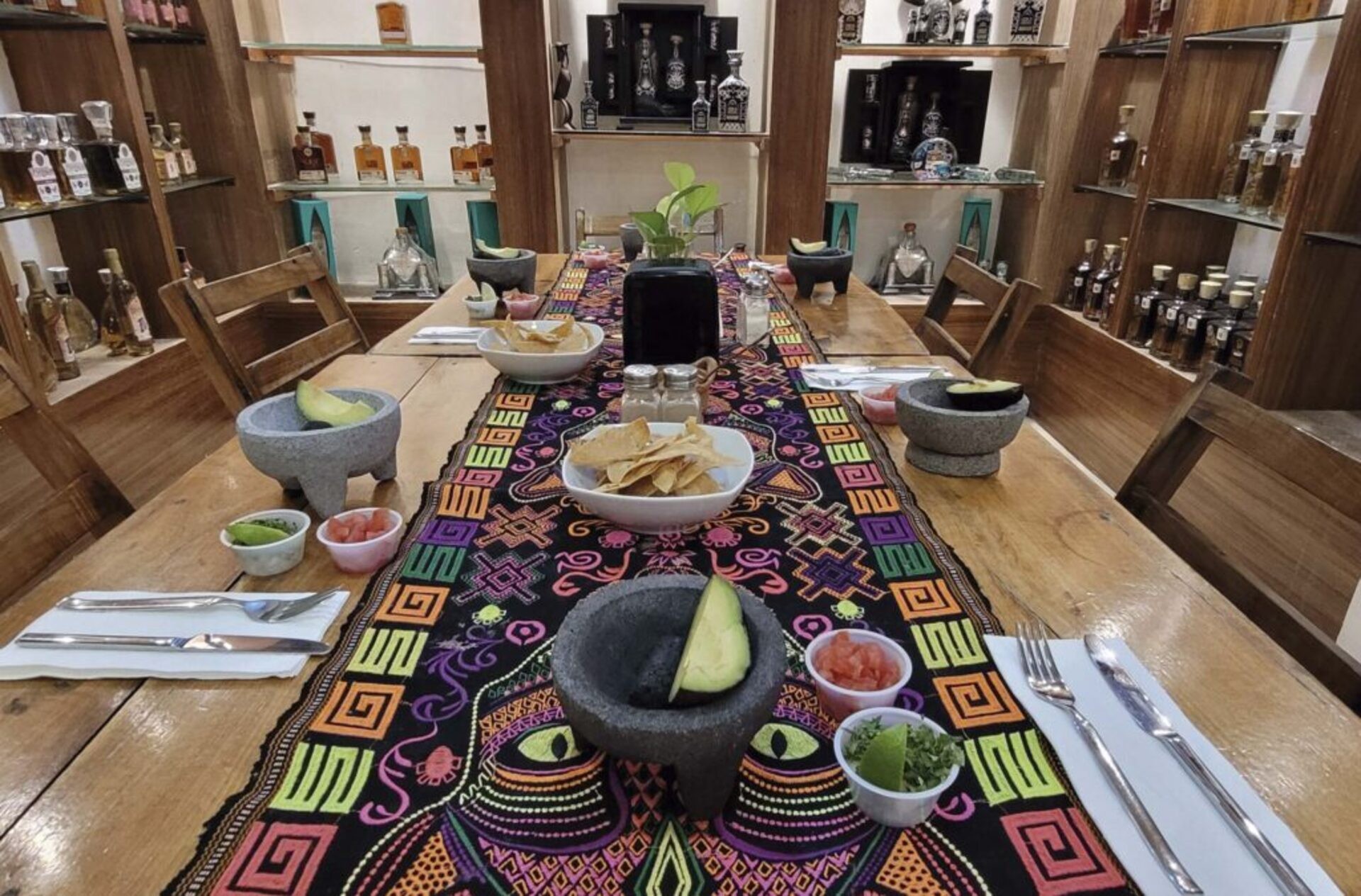 Puerto Morelos Tequila, Tacos & Salsa Private Tour