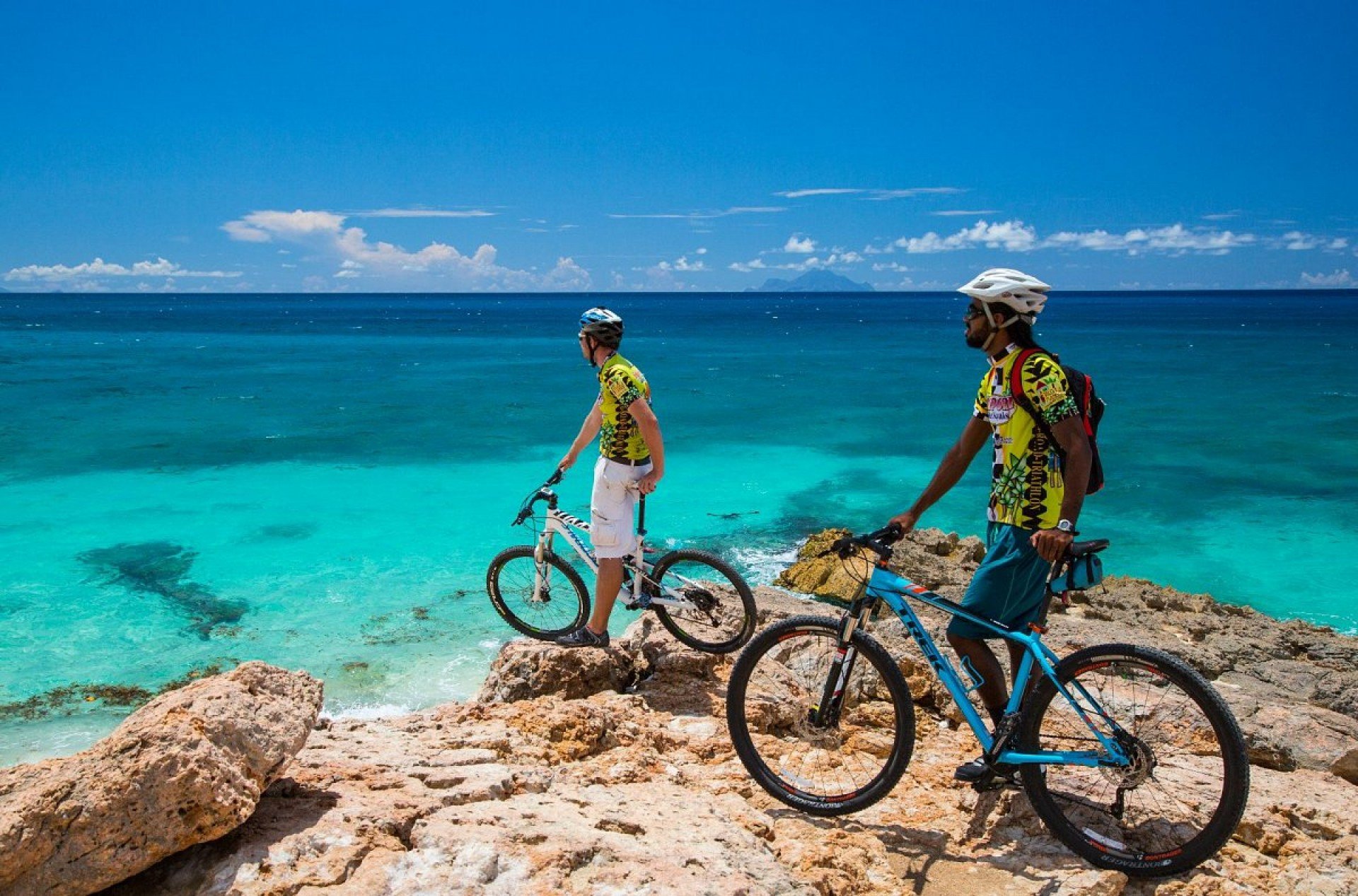 Bicycle Rental