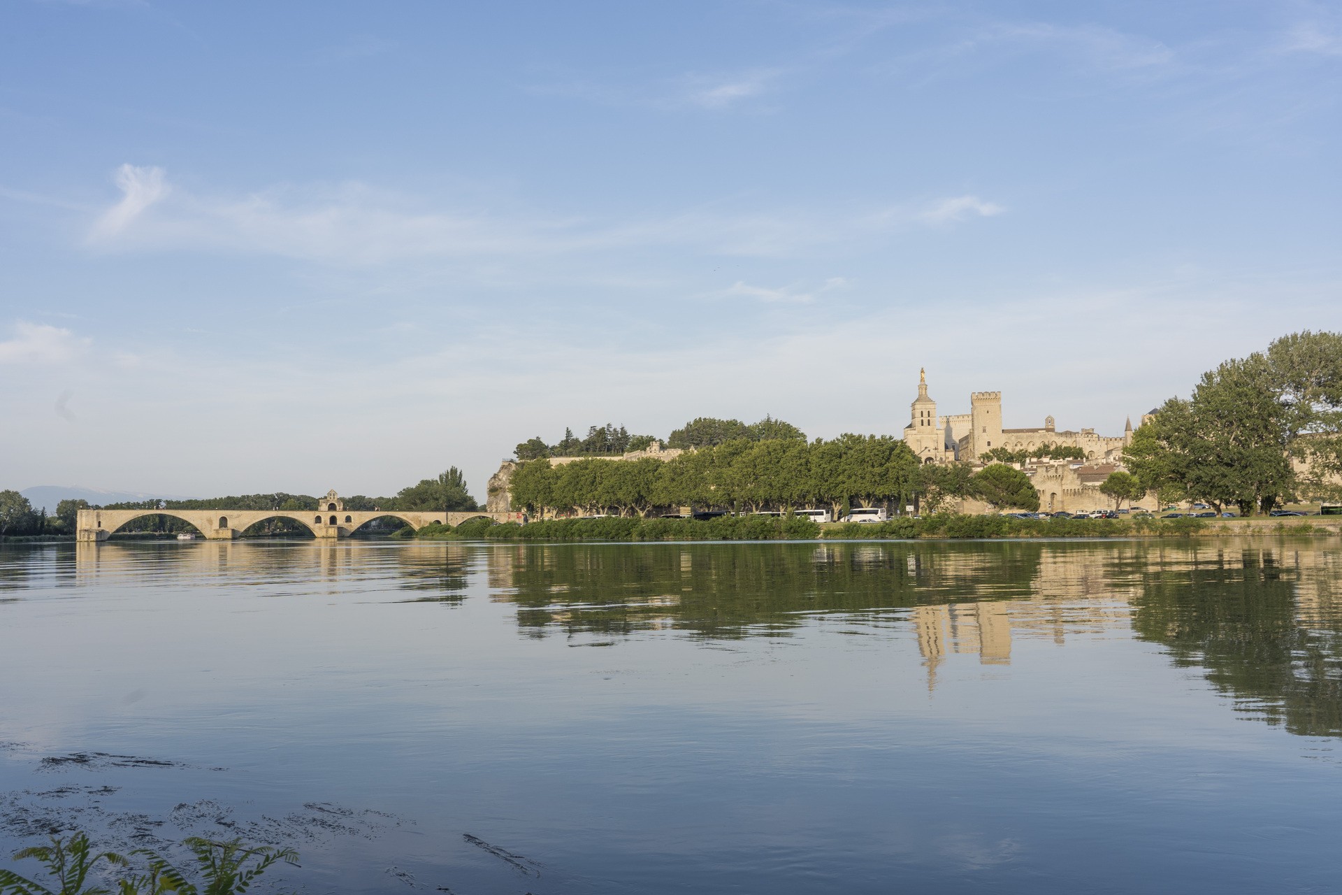 Avignon and Popes Palace Walking Tour - Avignon
