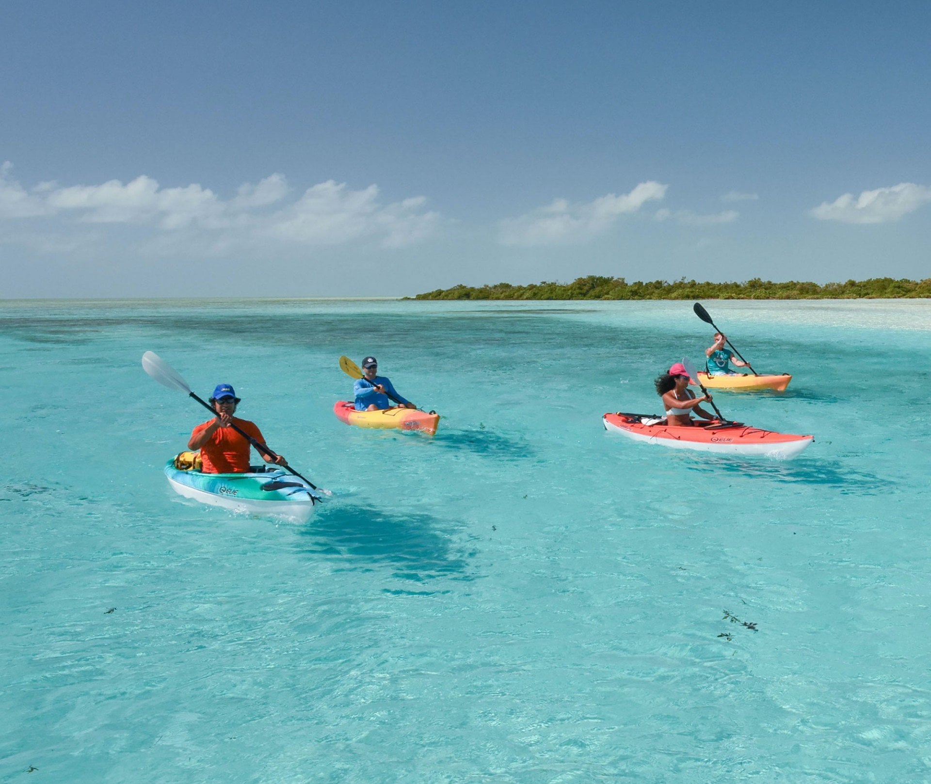 Turks & Caicos Eco Tour - 4 Hour Private Kayak Tour off Providenciales