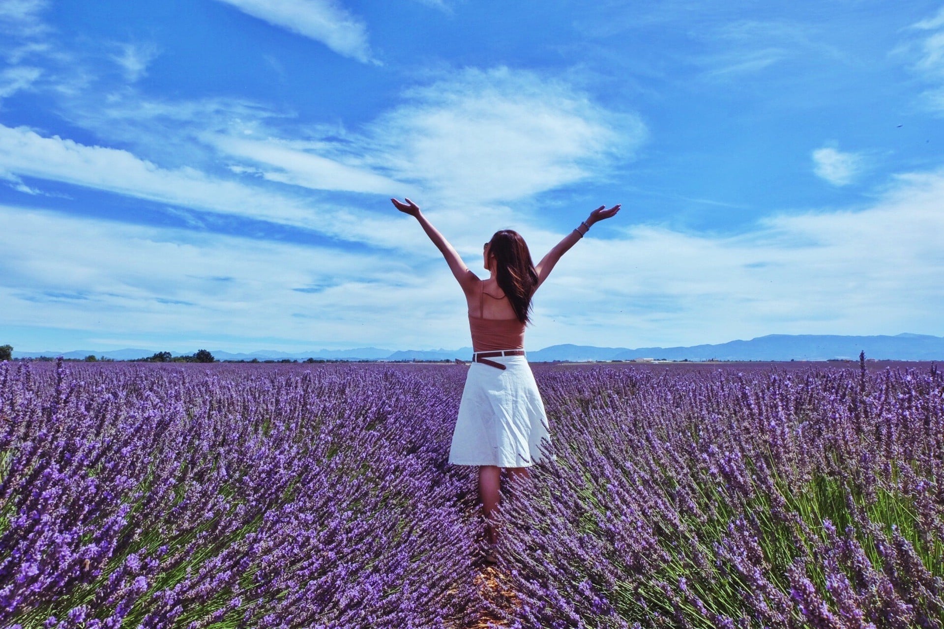Lavender Full Day Tour Valensole - Aix En Provence