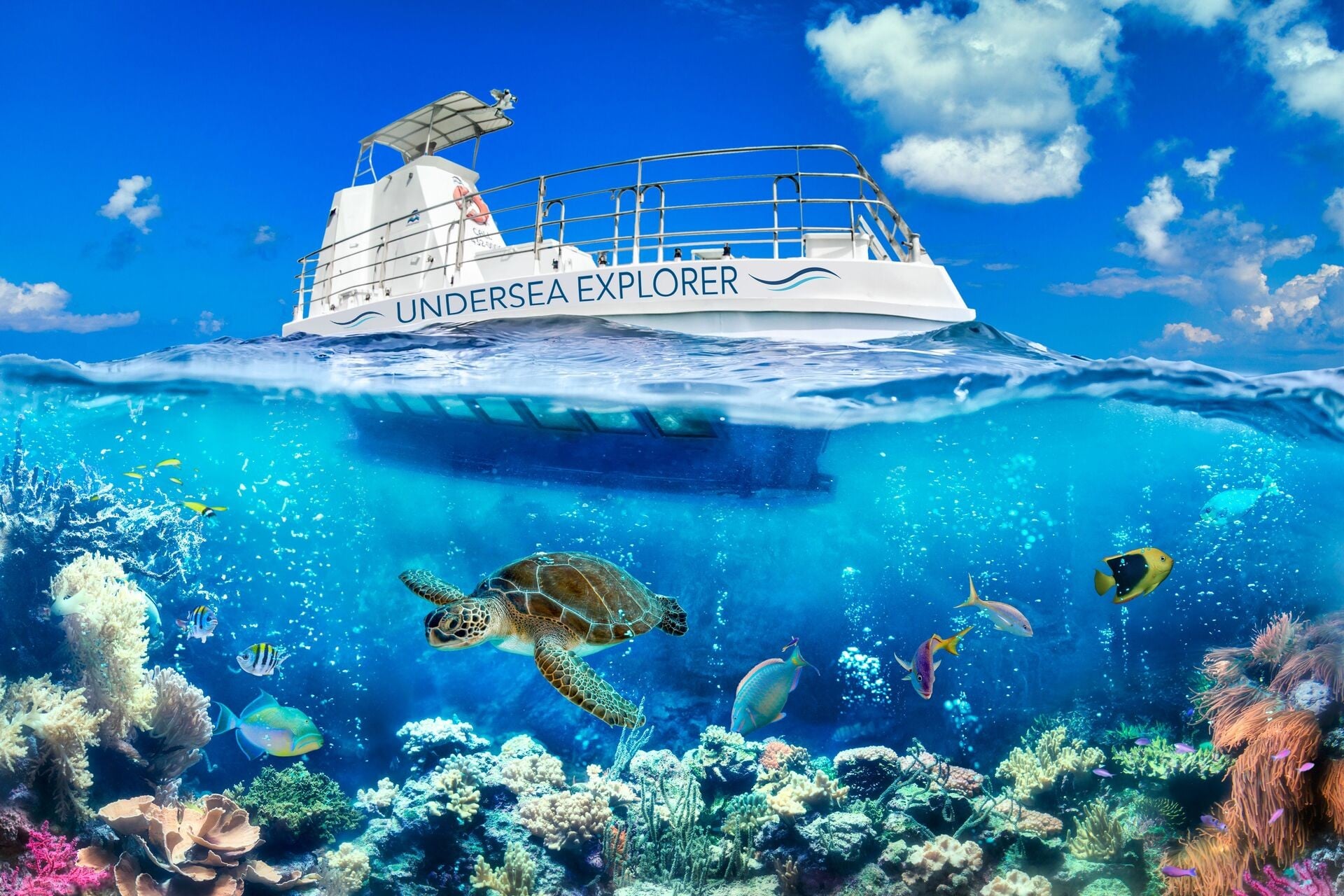 TCI Private Reef Adventure - Undersea Explorer