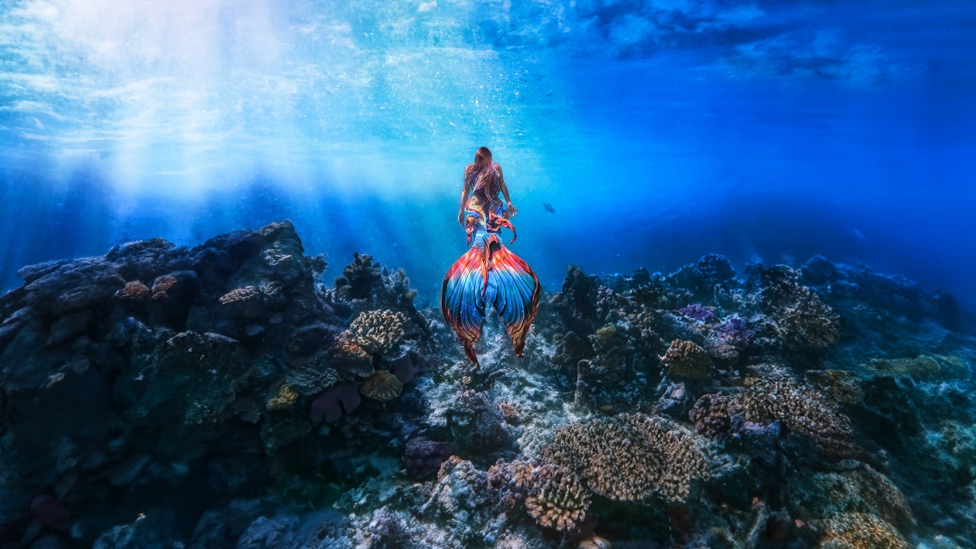 TCI Private Mermaid Adventure - Undersea Explorer