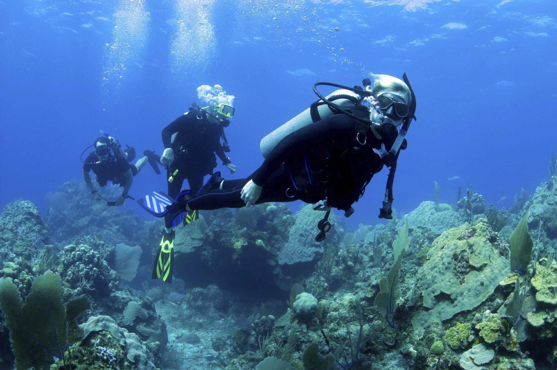 Diving Tour - Refresher Dive