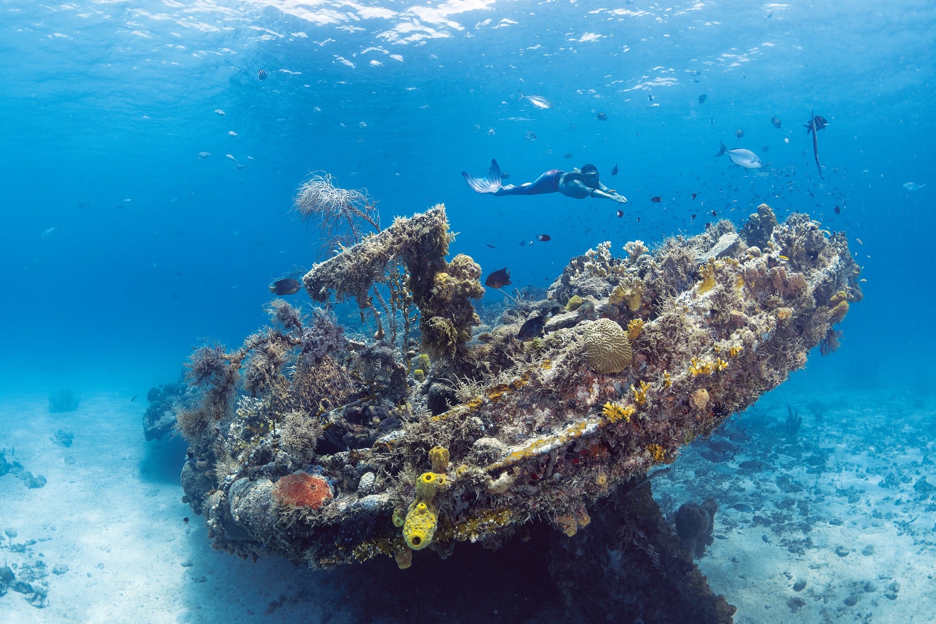 Barbados Scuba Diving