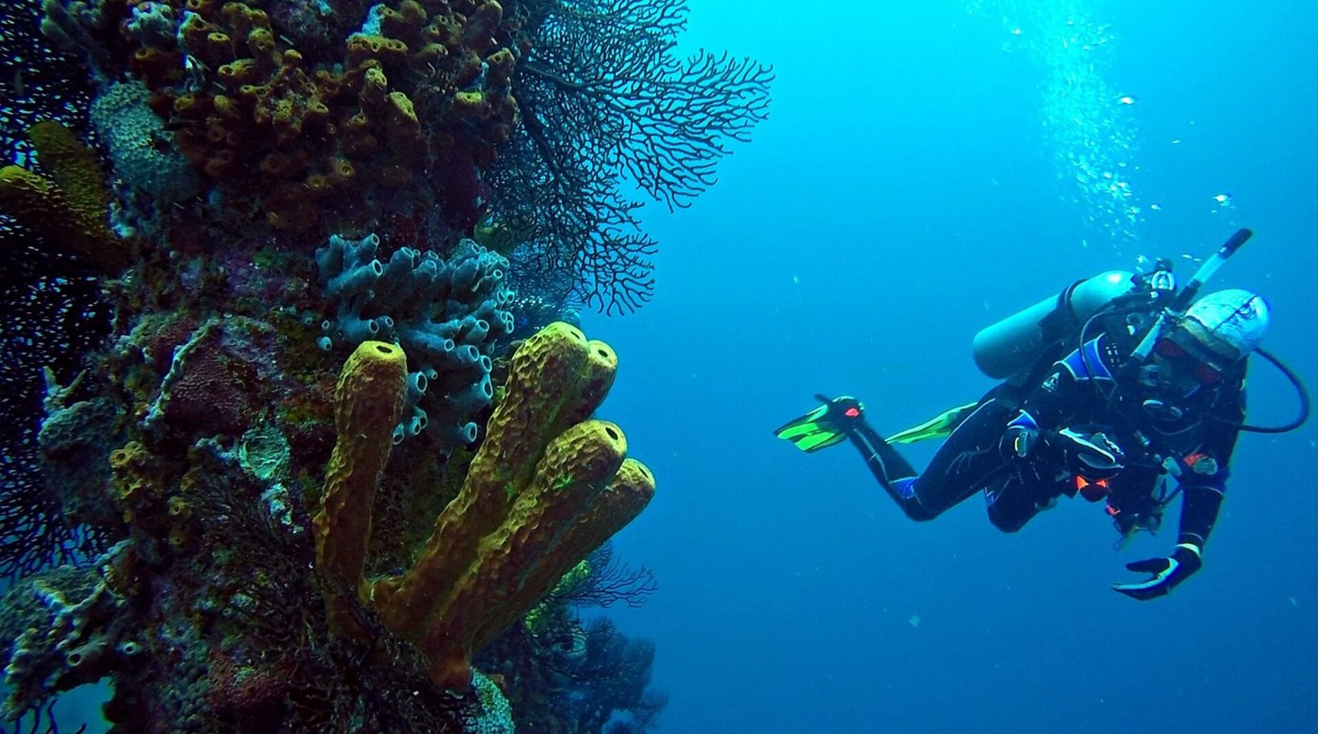 Barbados Ultra-Luxury Private Scuba Dive & Snorkel Charter