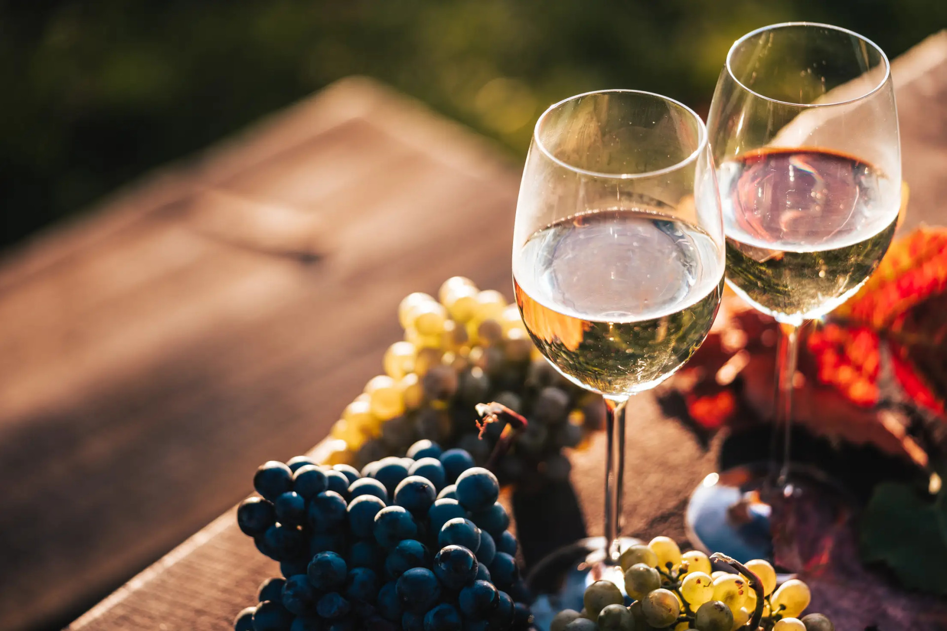 Unique Wine Tour in the Amalfi Area