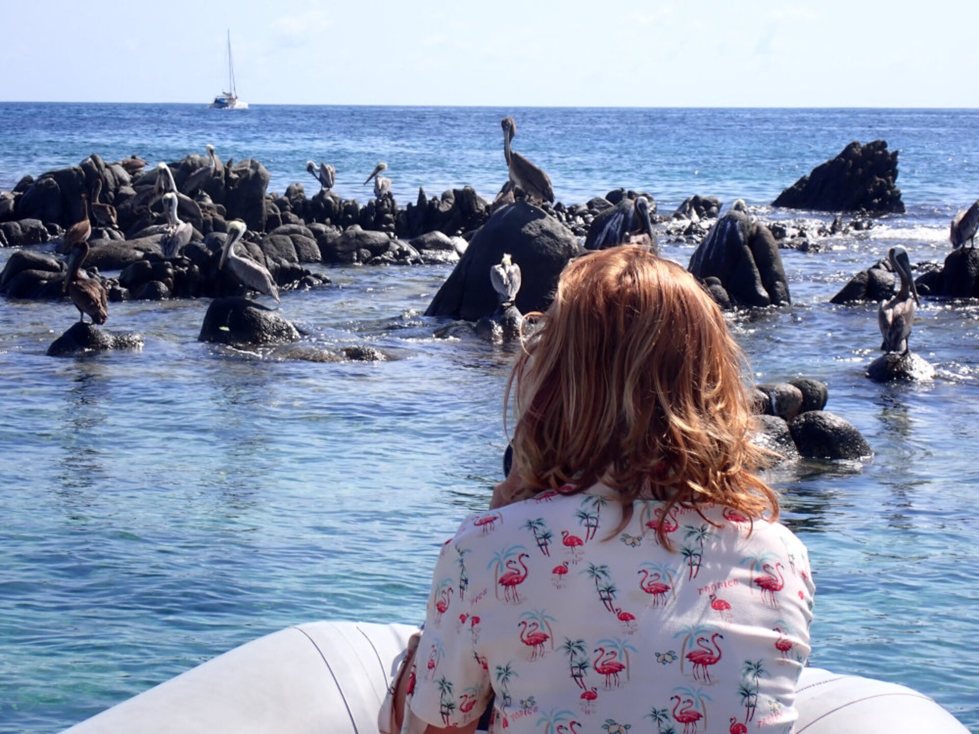 St Martin Private Nature & Eco Boat Tour - Axopar 29ft