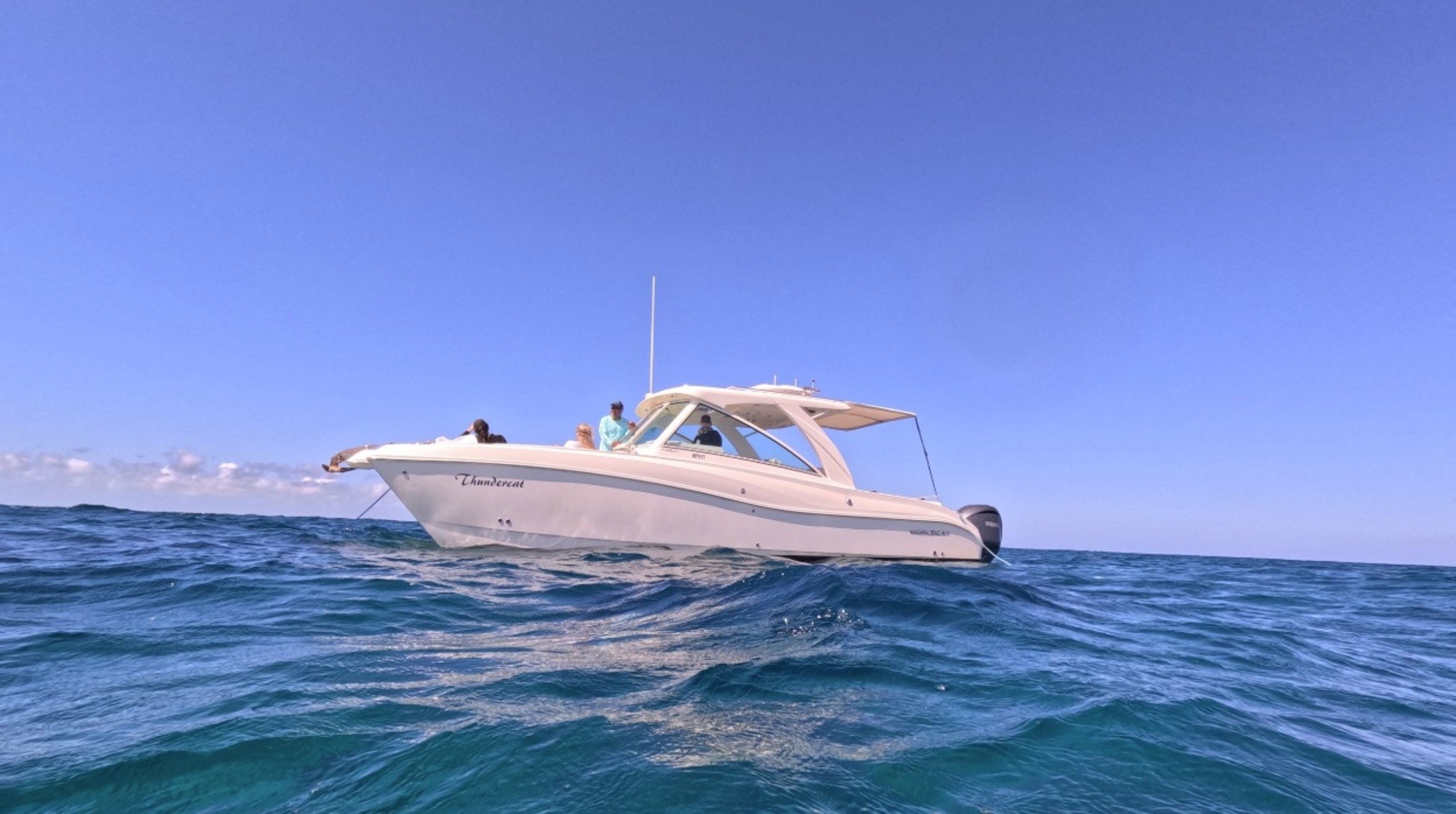 TCI Catamaran Charter - World Cat 32ft