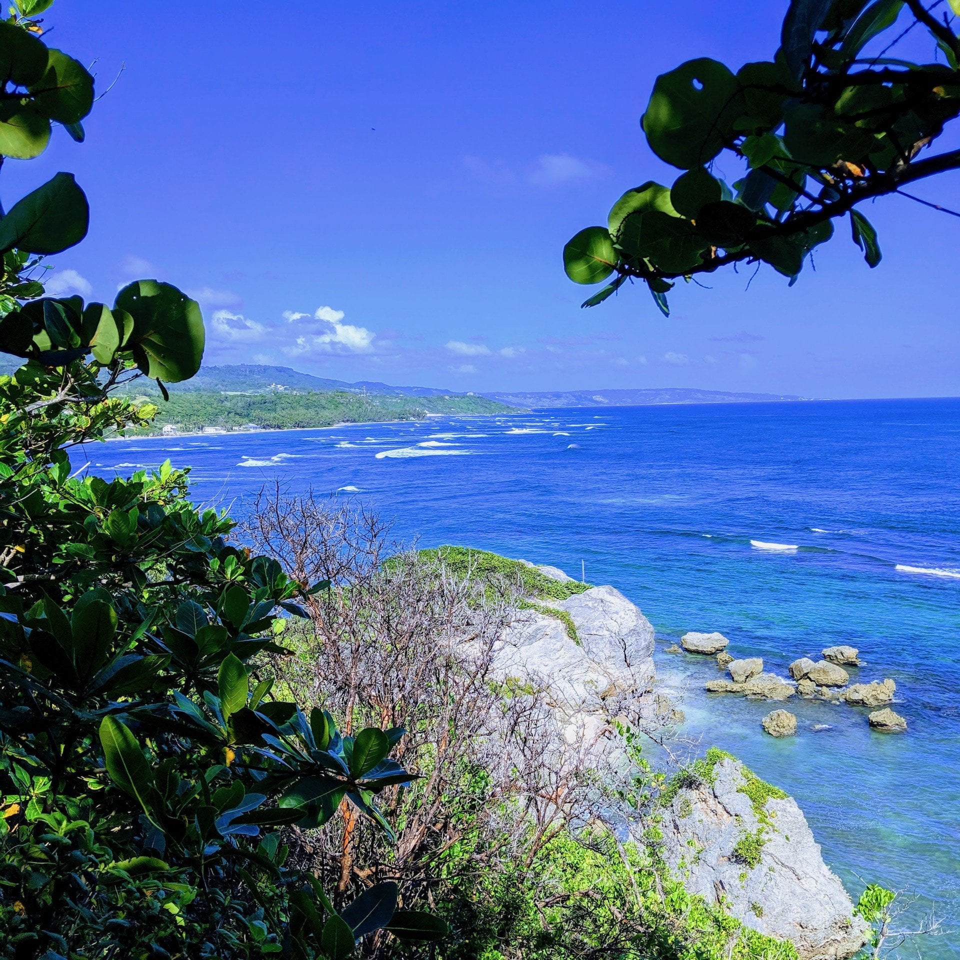 Run or Hike Tour - Bath to Bathsheba