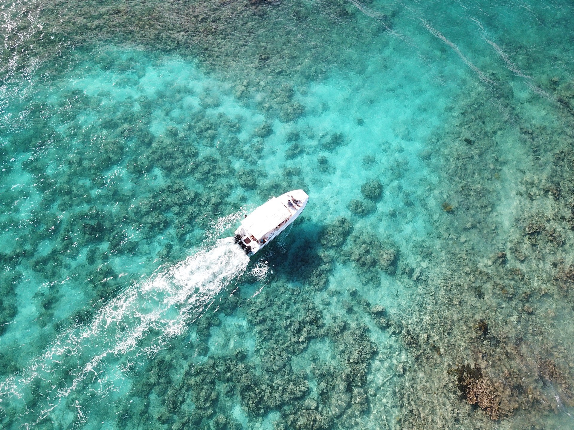 Anguilla Charter - Boston Whaler 270