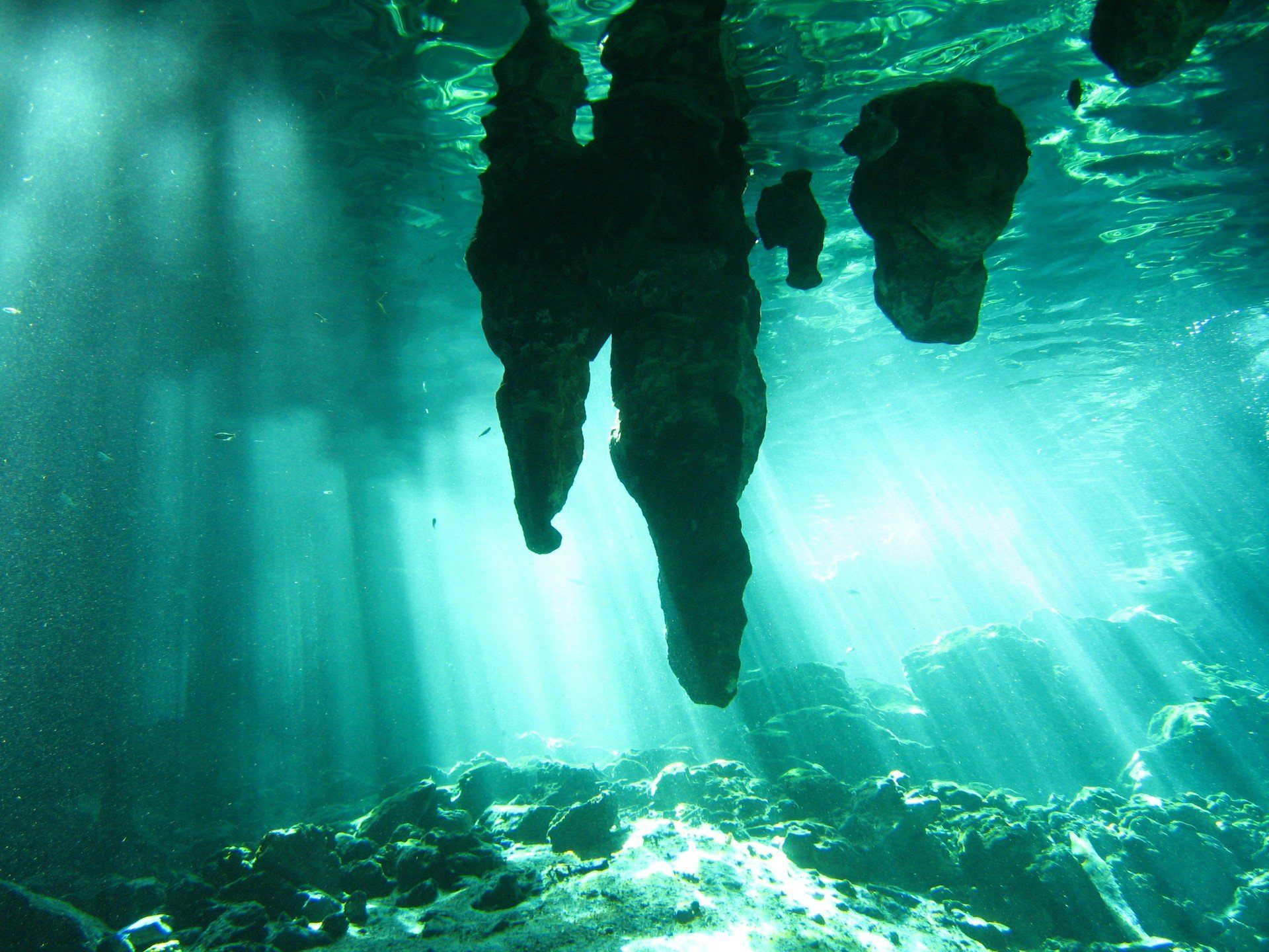 Mayan Underworld - Snorkeling and Cenote Tour