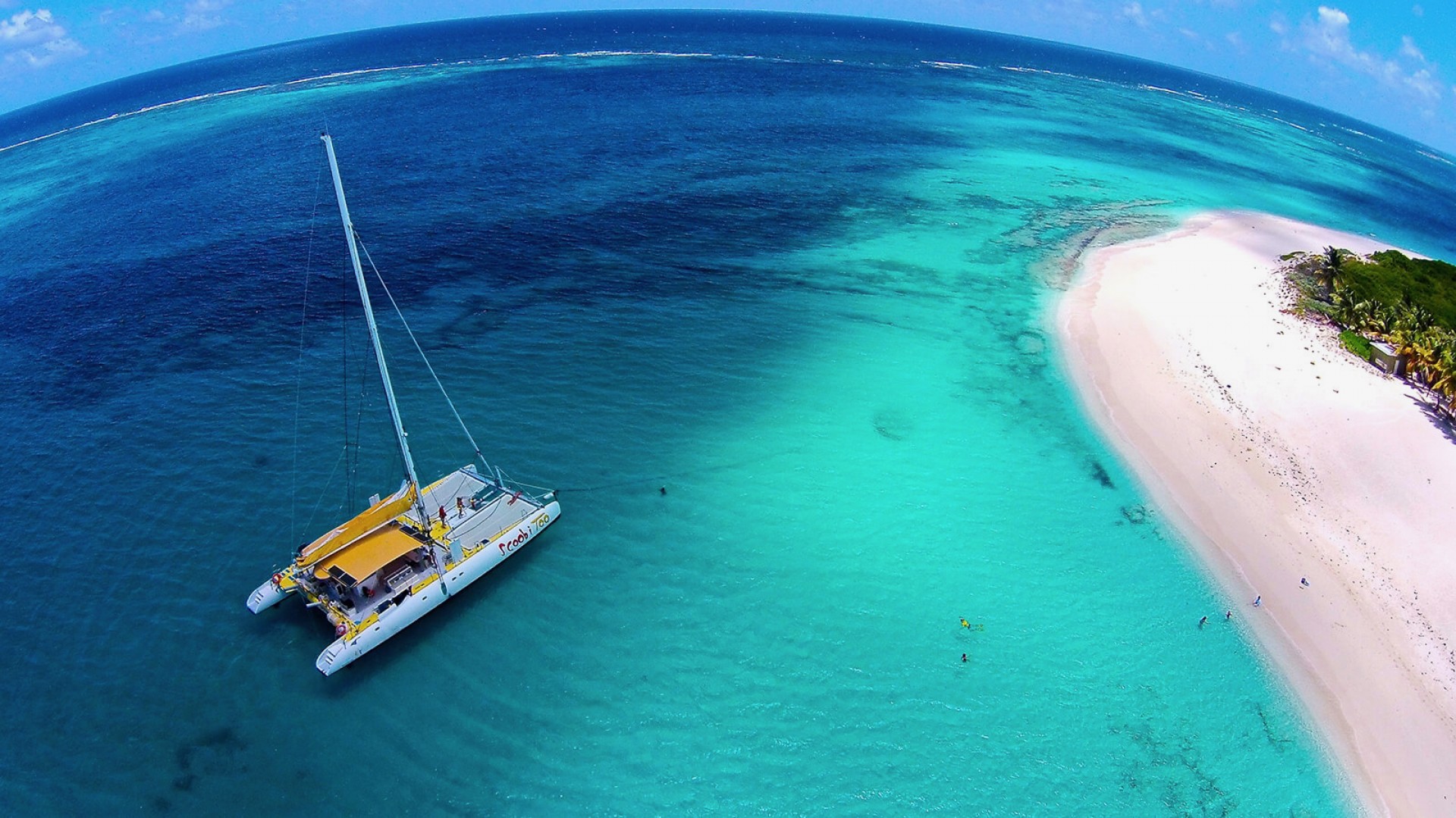 Catamaran Private Charter - Scoobitoo