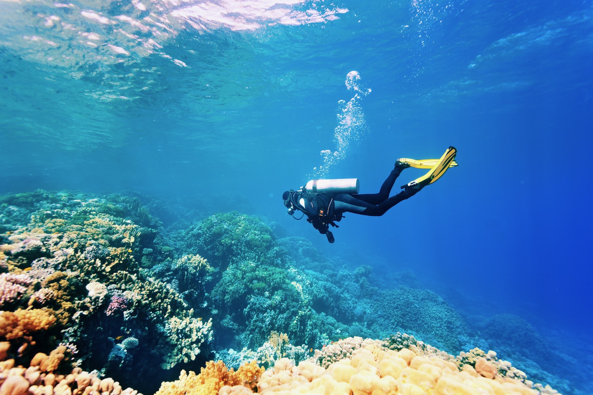 St Barts Scuba Diving - Private Instructor