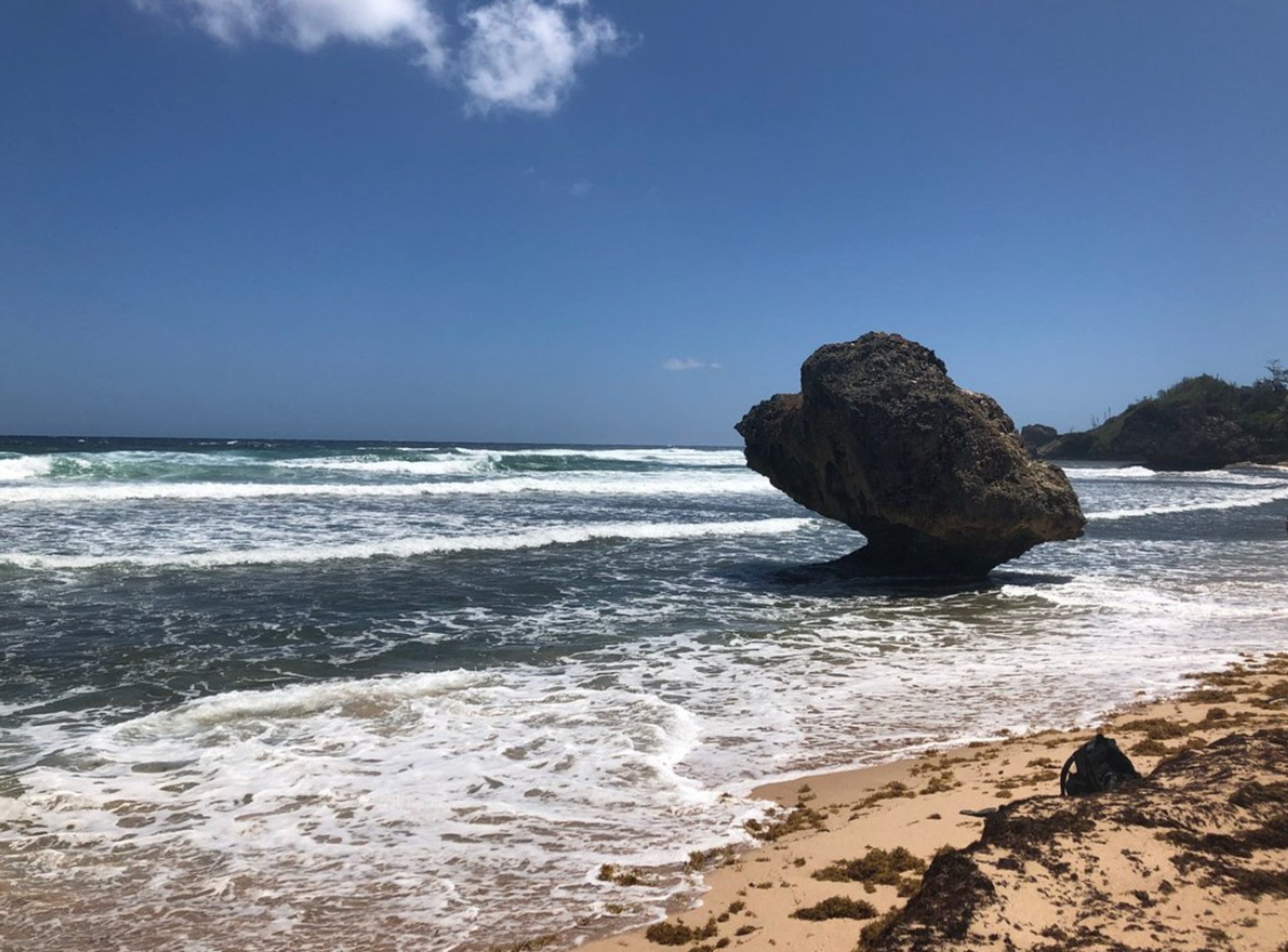 Treasure of Barbados