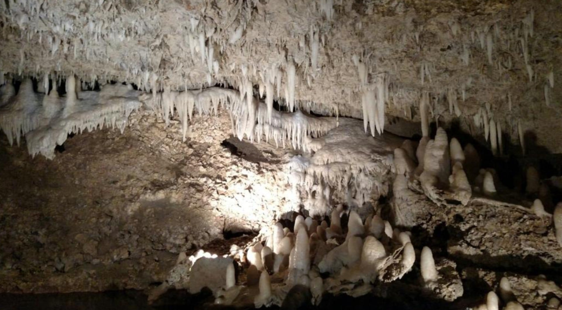 Harrisons Cave & Snorkel Cruise