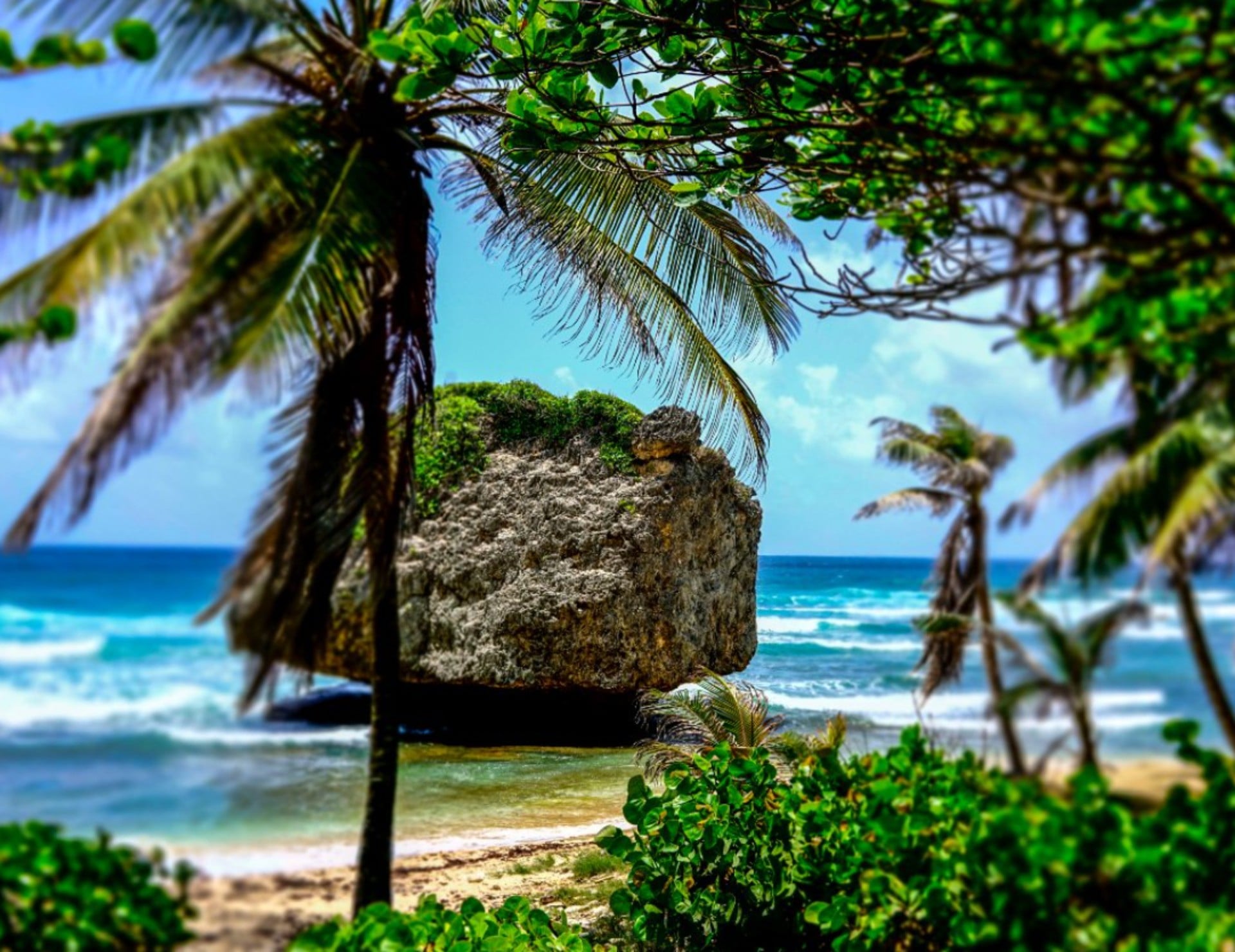 Best of Barbados - Natural Wonders of Barbados