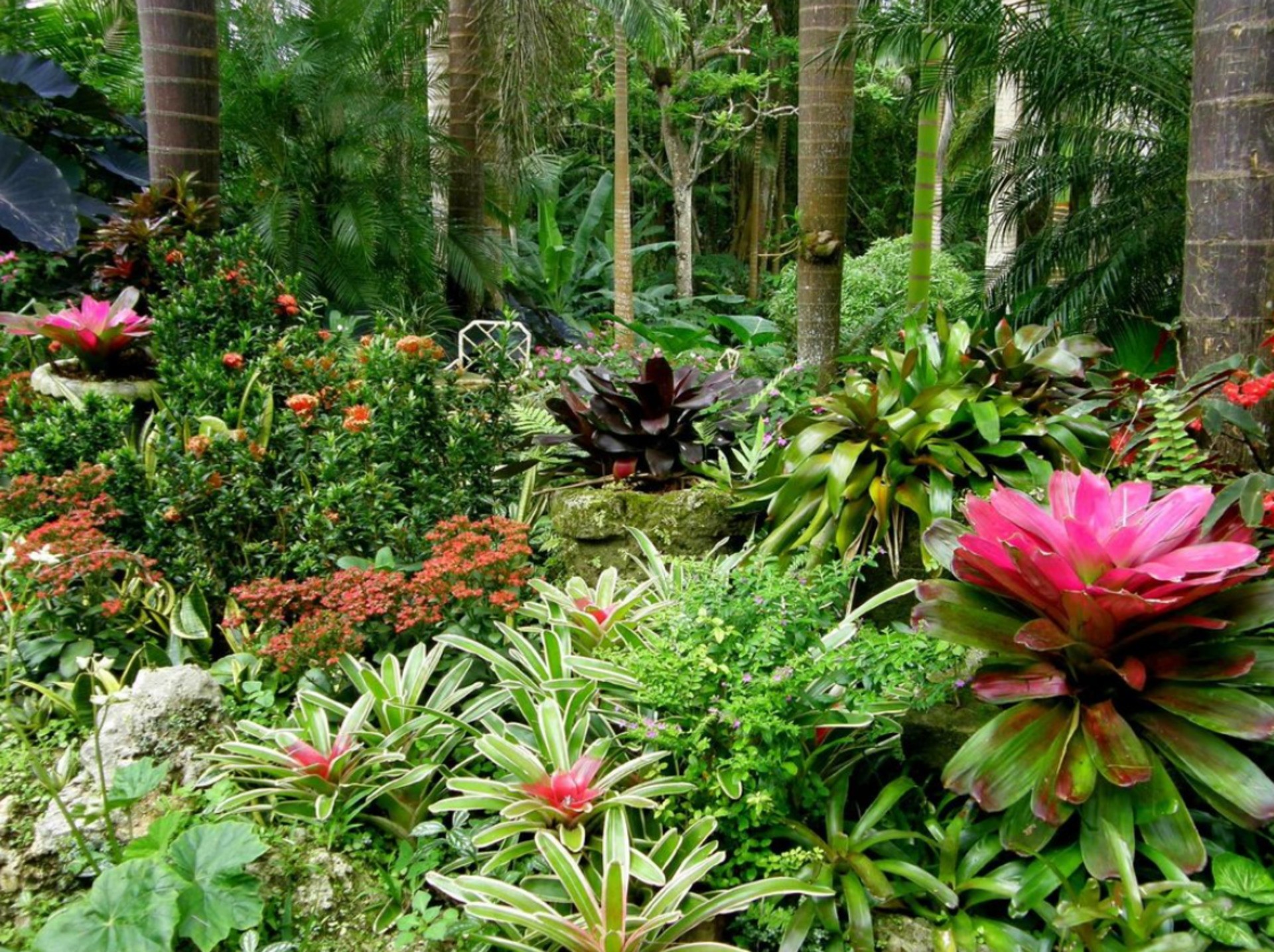 The Glorious Gardens of Barbados