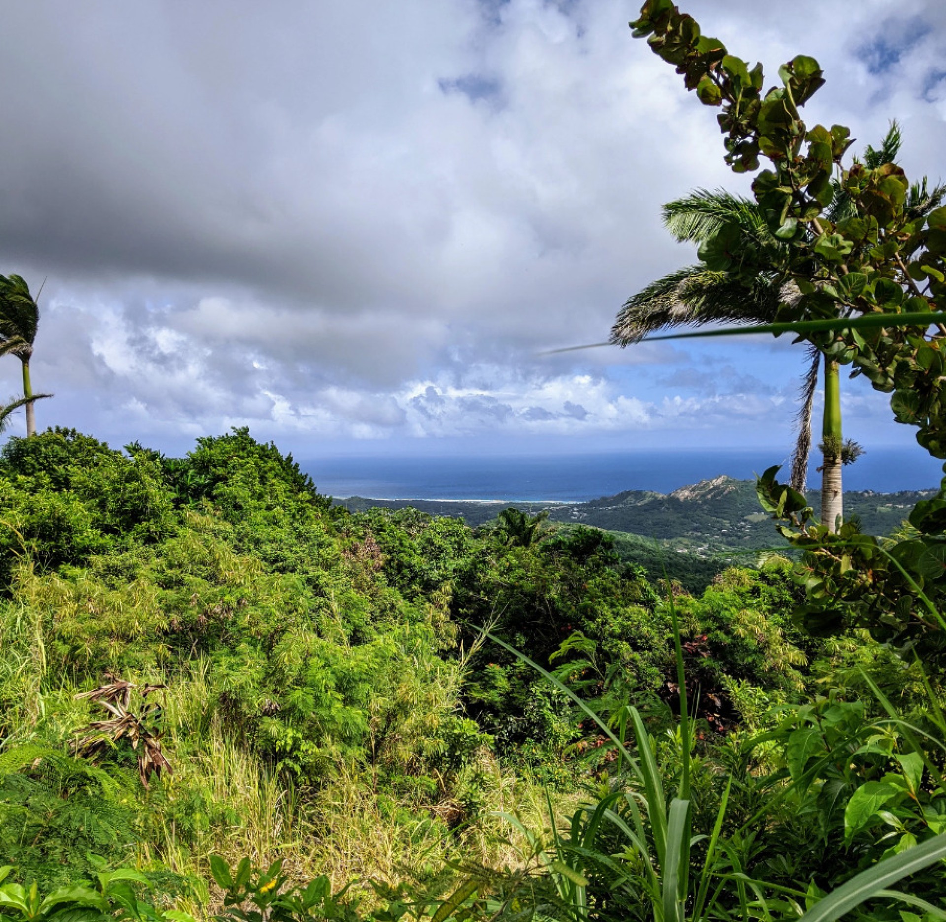 Coast to Coast Challenge