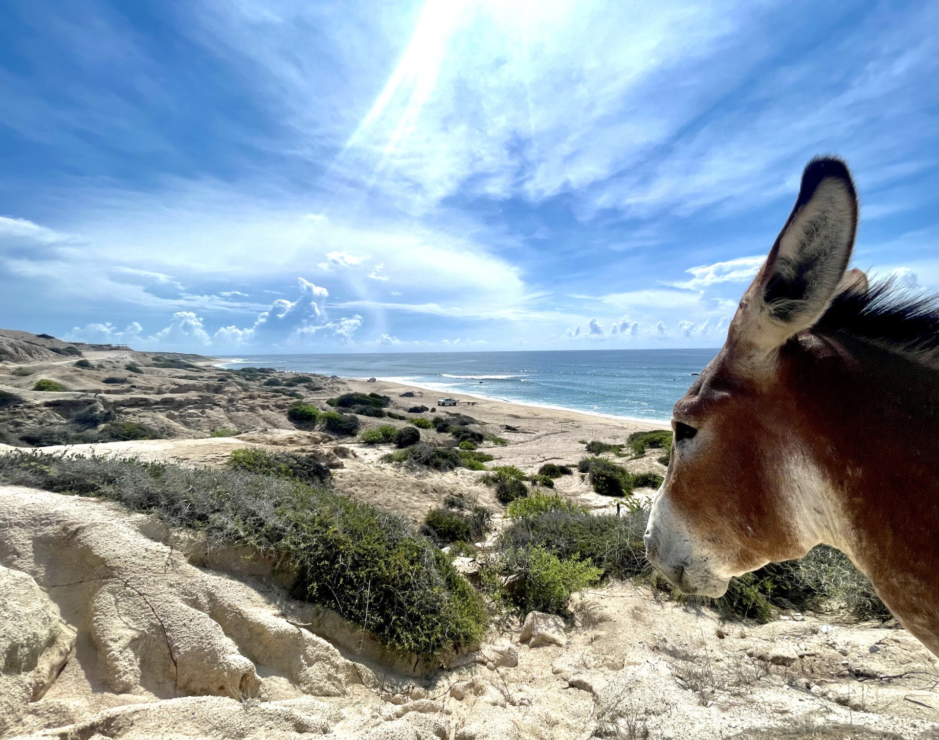 East Cape Surf Safari