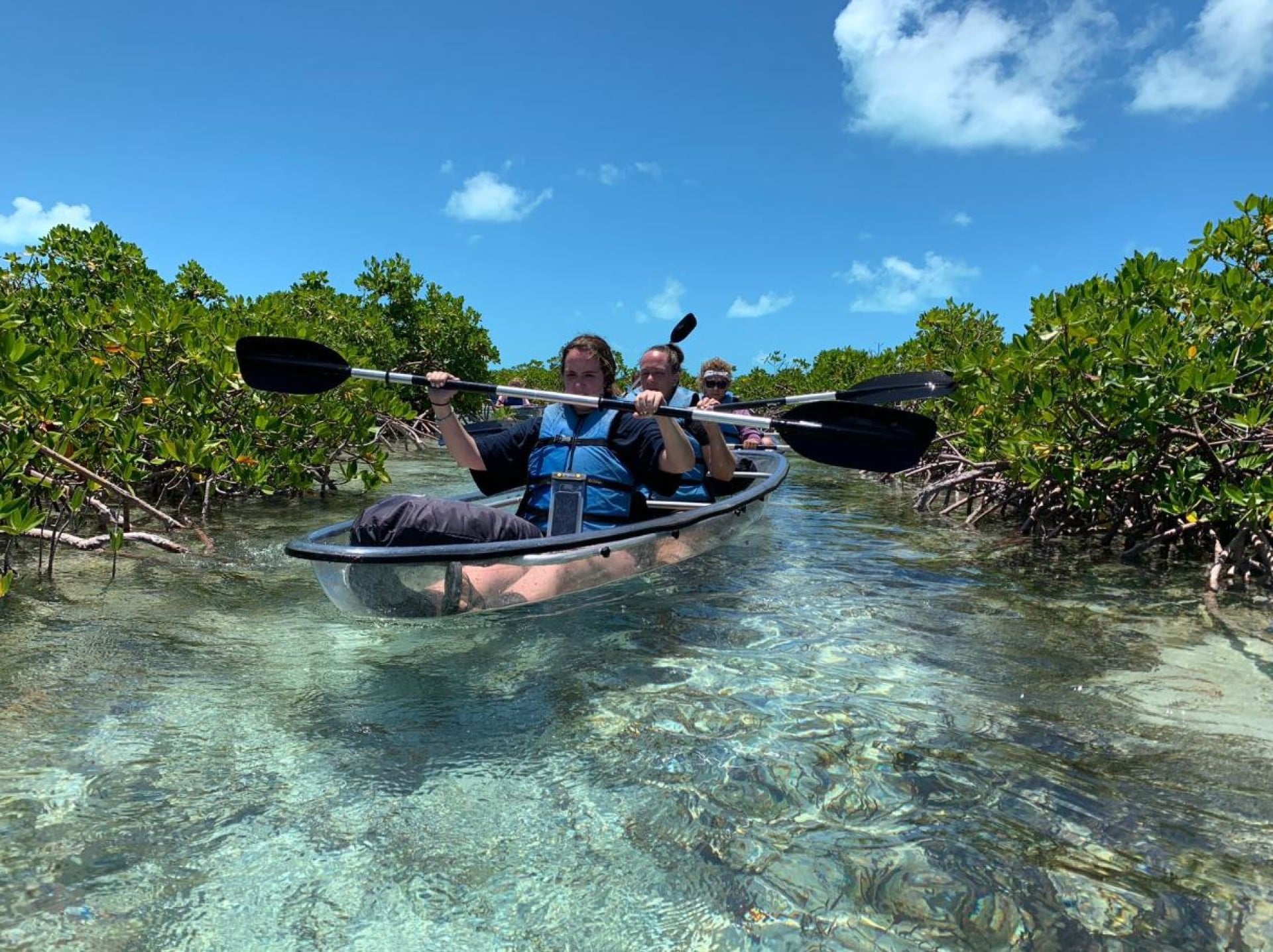 Turks & Caicos Clear Kayak Tour - Explore the Mangroves and Waters of Provo