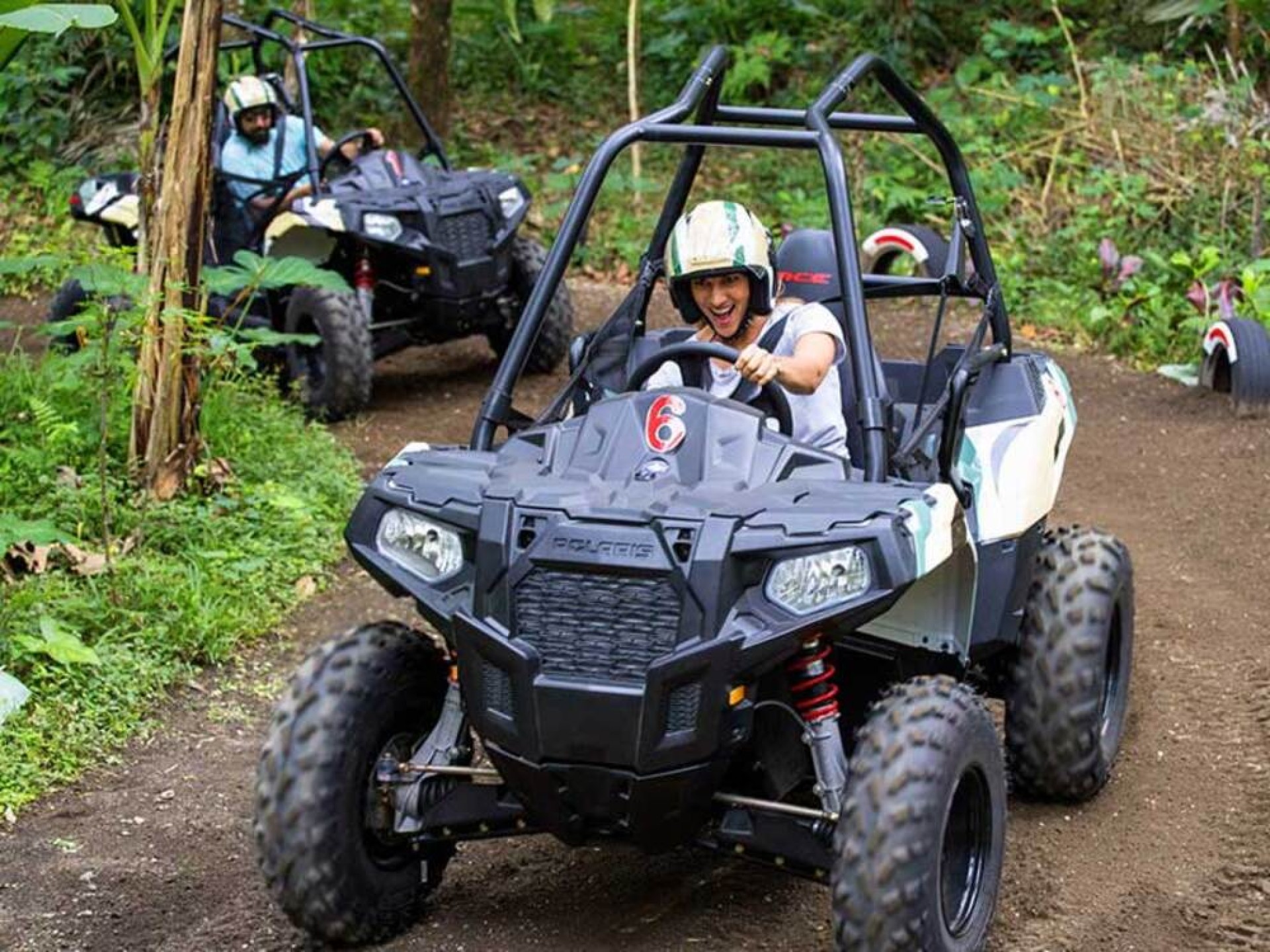 Jungle Buggies