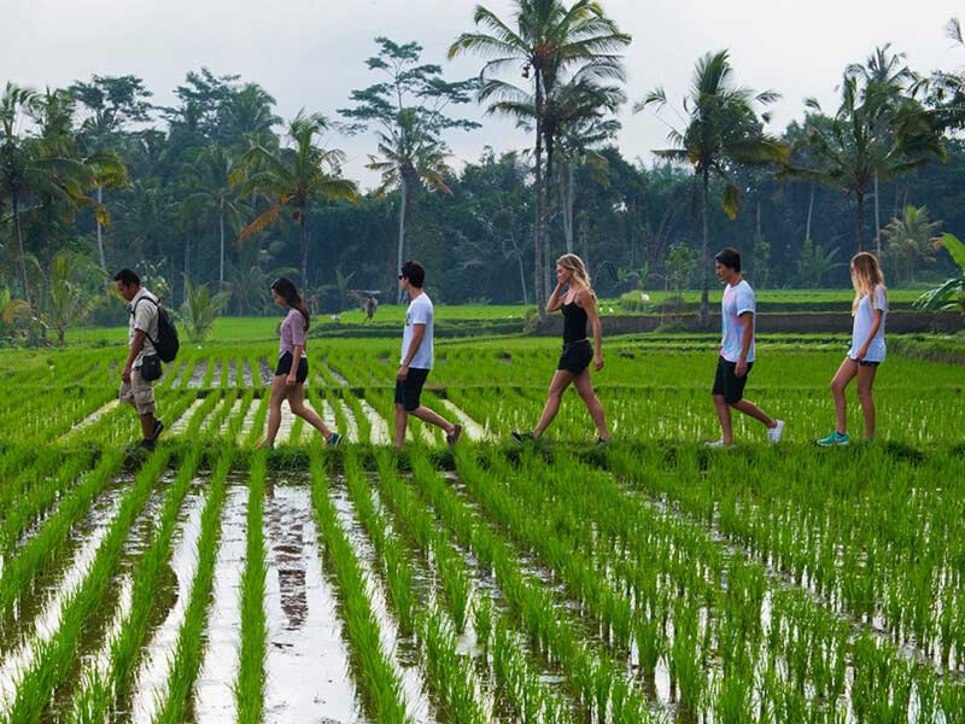 Tropical Trekking Tour