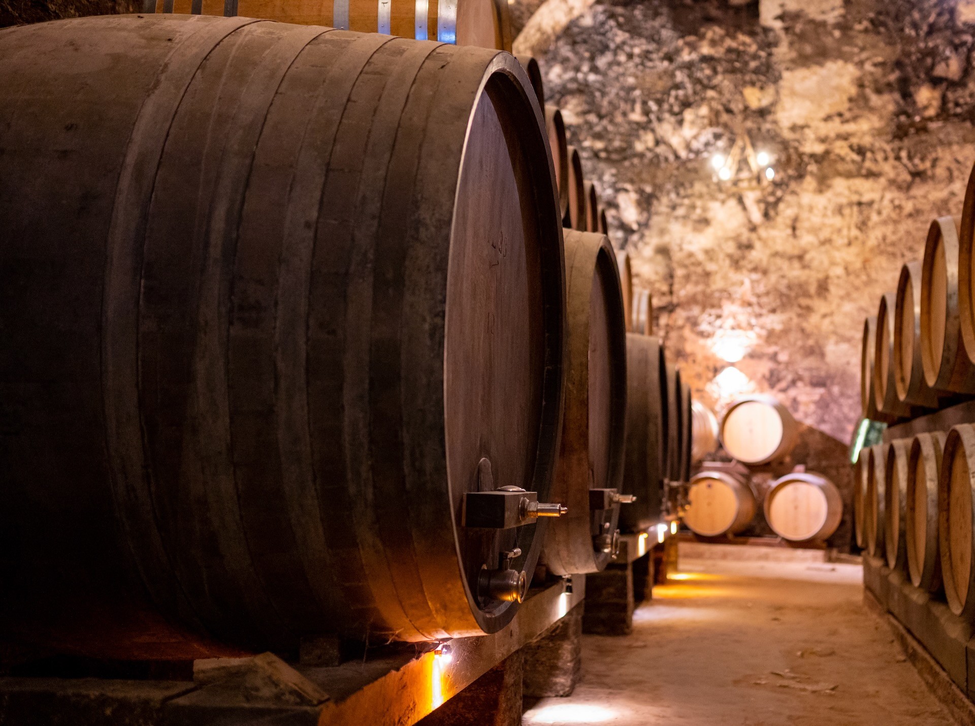 Vernaccia Wine Tour and Visit of San Gimignano