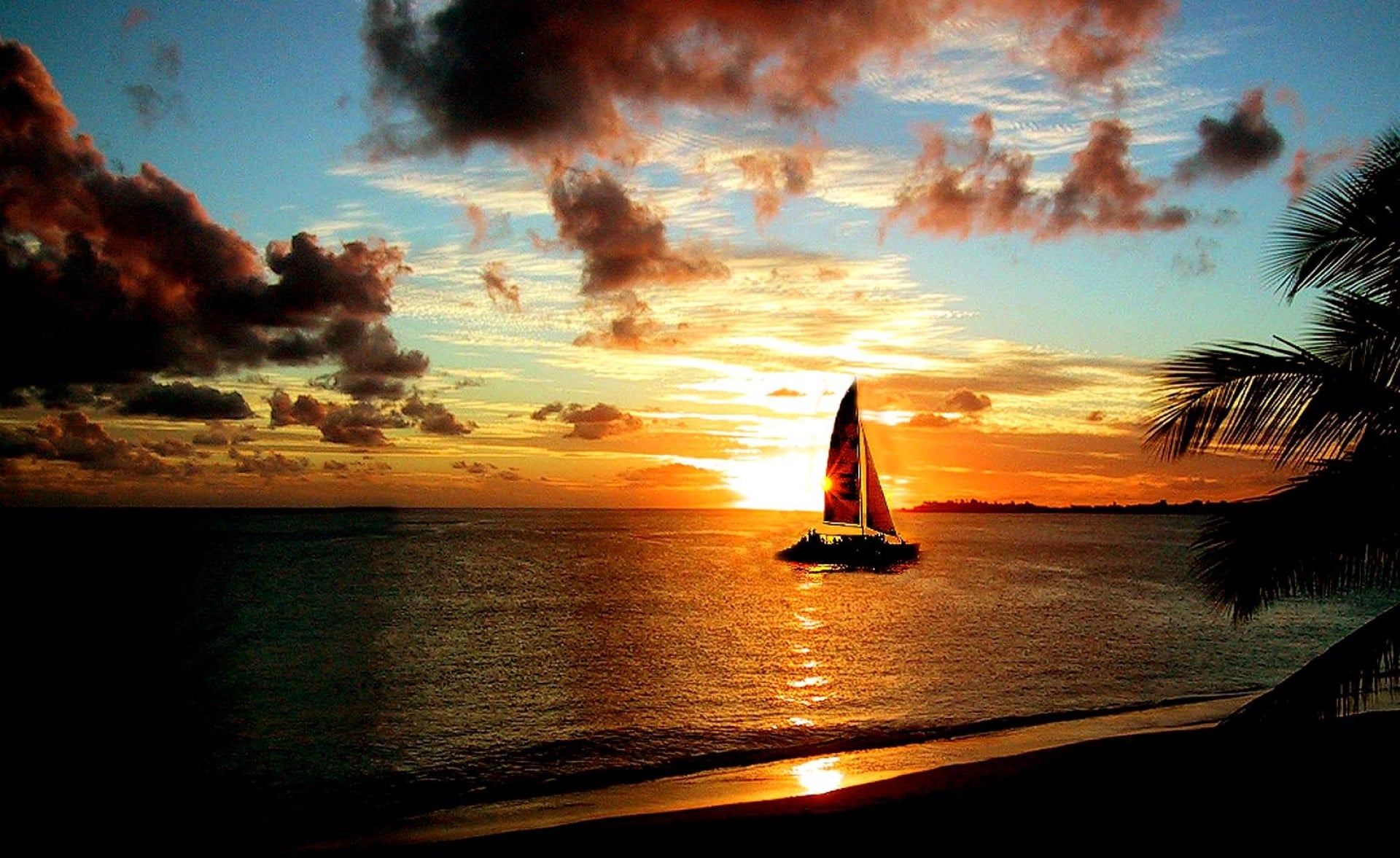 Bubbly Sunset Cruise - Group Charter