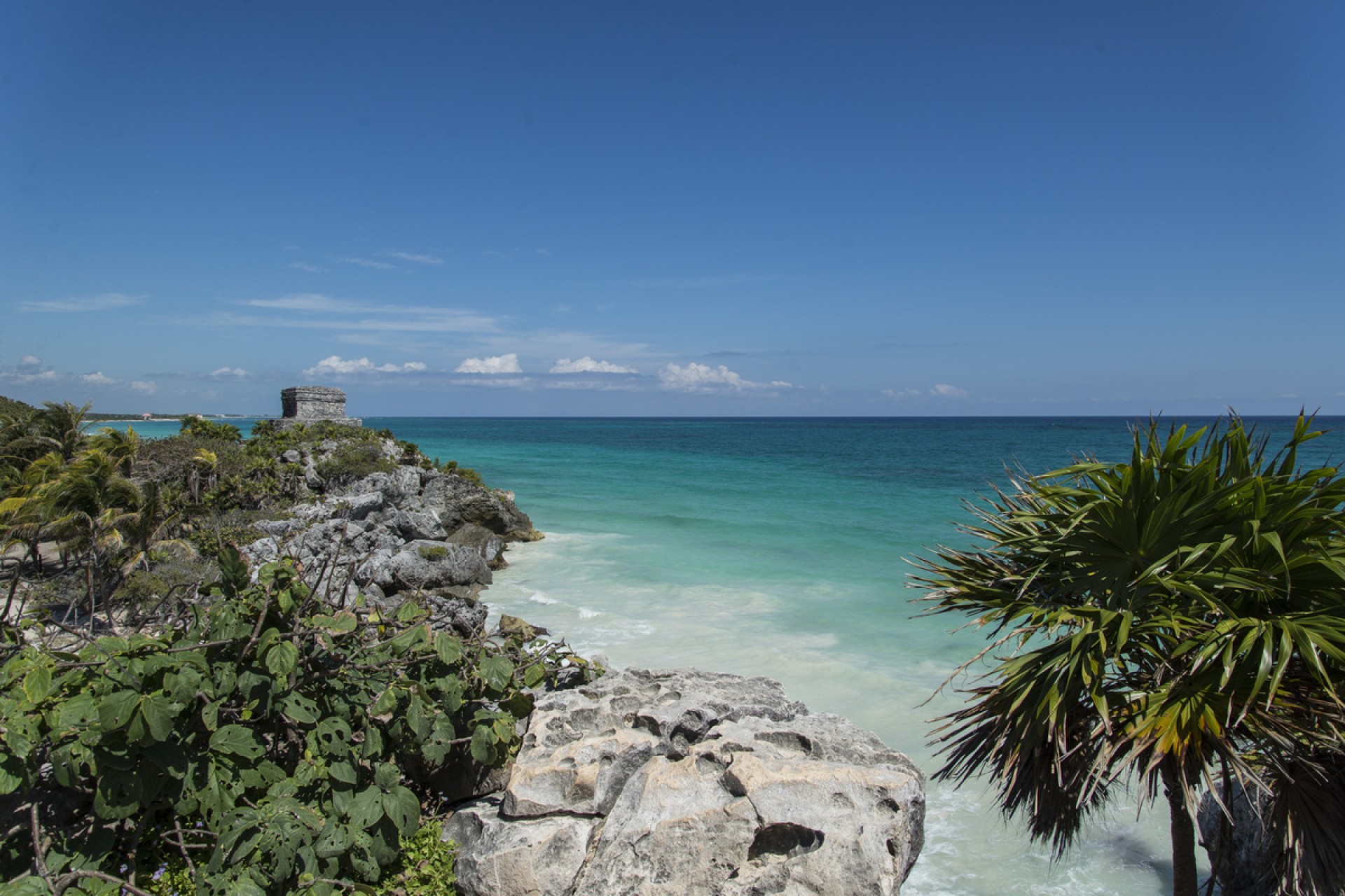 Full Adventure Discovery - Tulum Ruins, Reef Snorkeling & Cenote Shared Tour