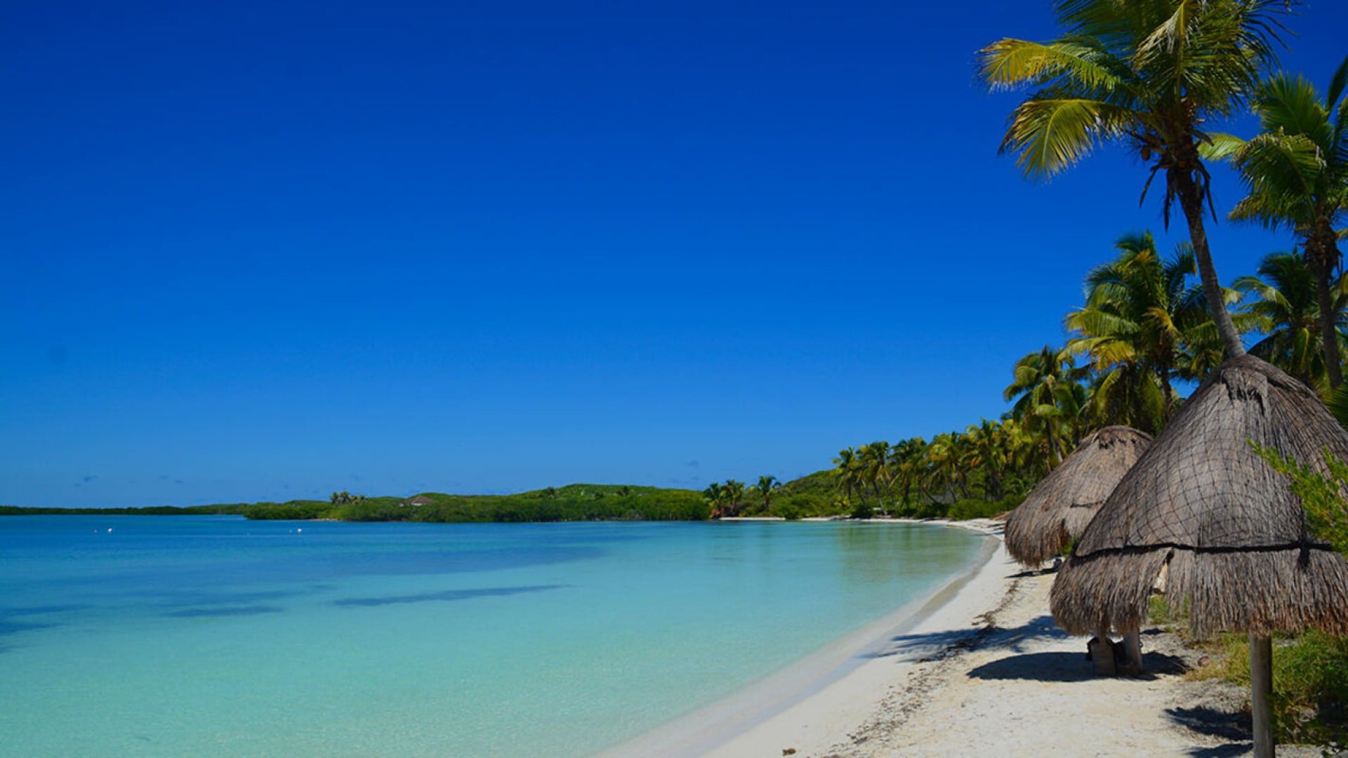 Paradise Islands - Contoy & Isla Mujeres - Shared Tour