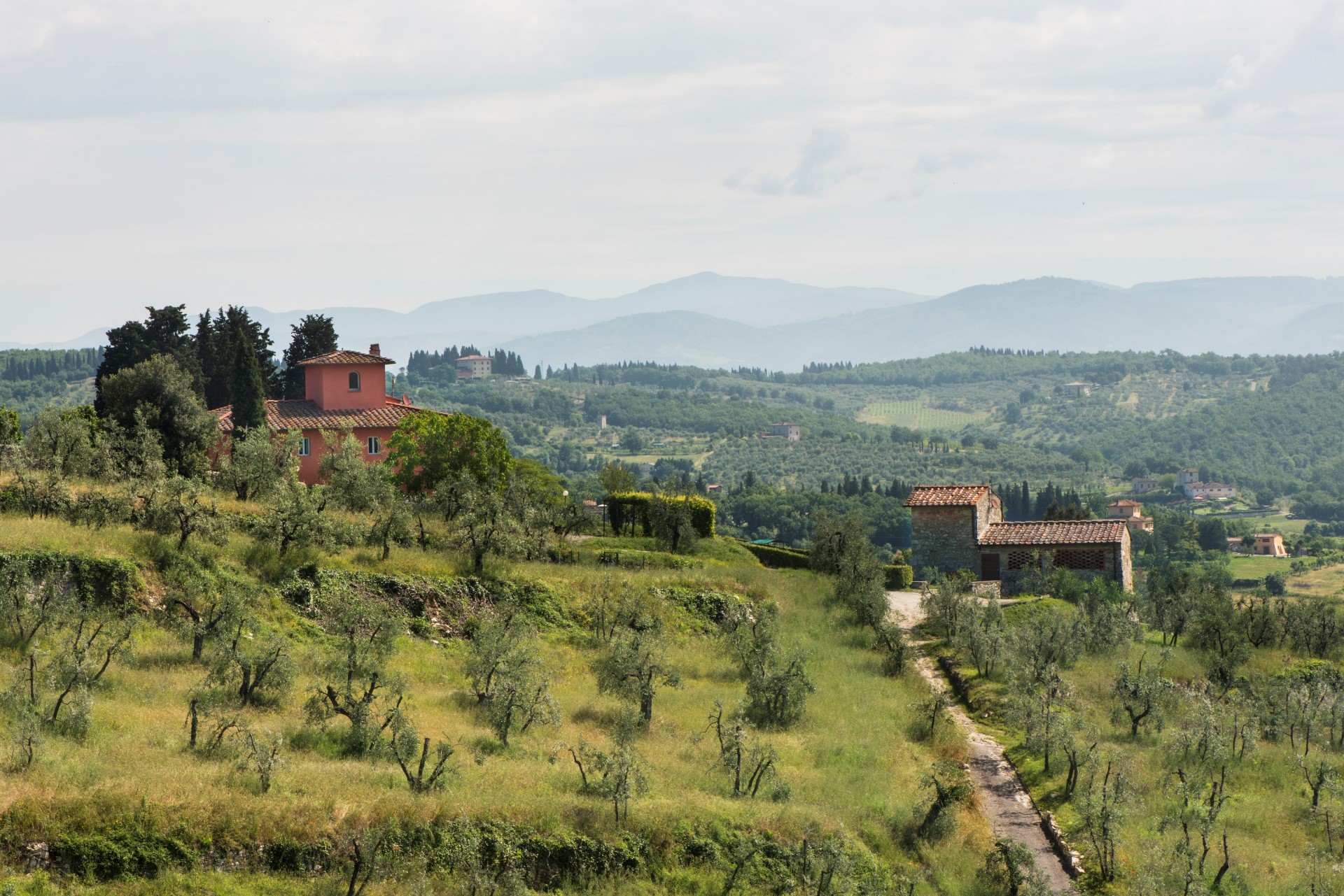 Giardino - villa Giardino Tuscany | Isle Blue